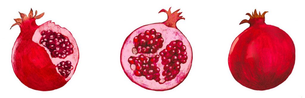 Food Illustration von Christina Mühlhöfer digital gezeichnete Granatäpfel